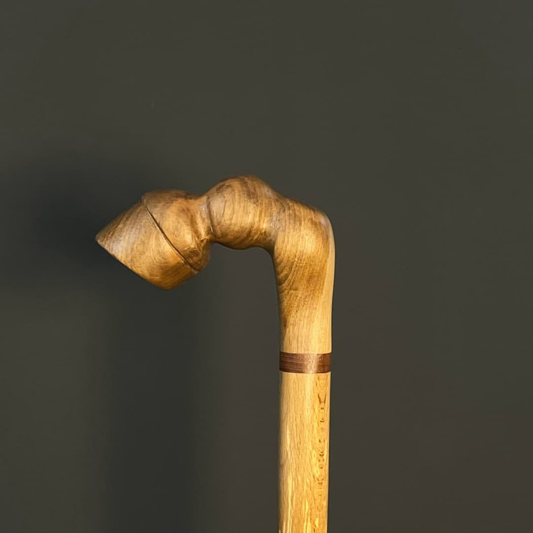 عصا با طراحی منحصربهفرد الهامگرفته از سم اسب، تلفیق هنر و عملکرد