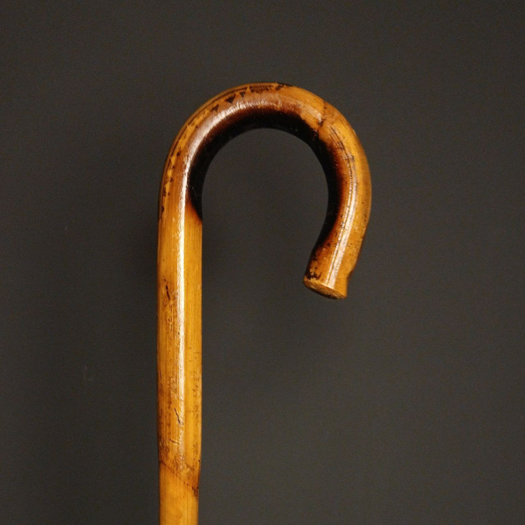 «نمای نزدیک از بافت طبیعی خیزران و پرداخت صیقلی عصا خیزران کد 03»