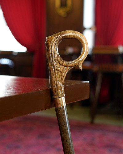 عصا مدل بلوط روی پس زمینه تیره؛ ترکیب قهوه ای بلوطی با اکسنت طلایی