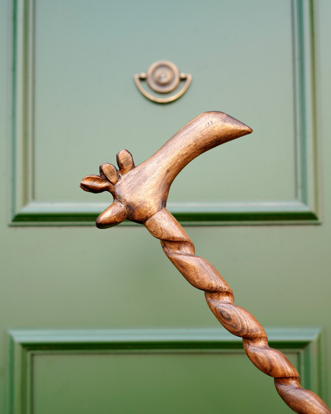 عصای خاص با طراحی سر زرافه و بدنه پیچ خورده