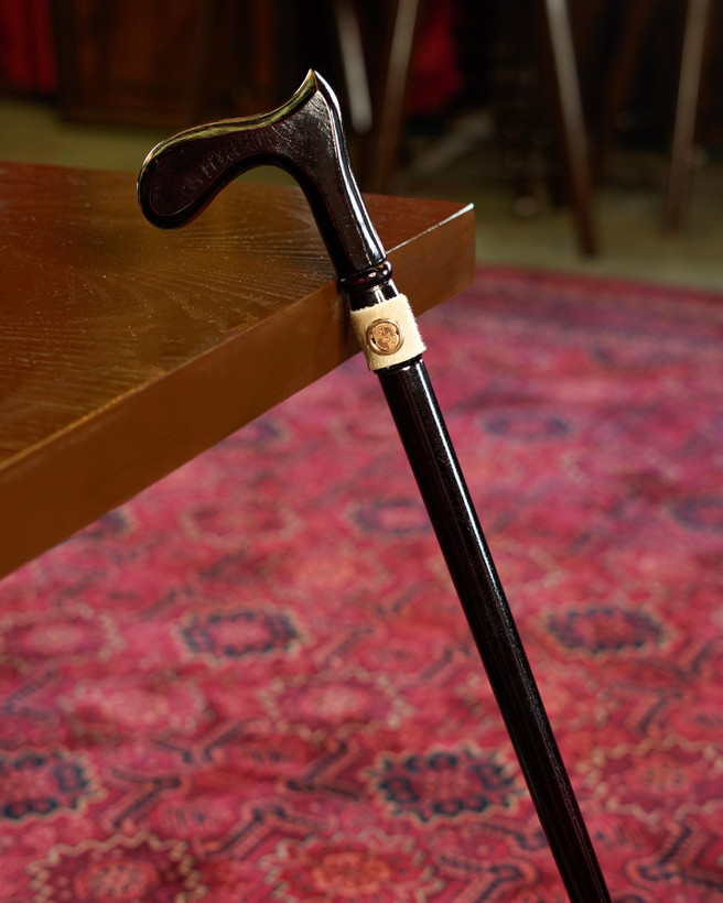 جزئیات لوکس عصا کاویان با نشان فلزی تزئینی روی بدنه و ترکیب اصالت و زیبایی