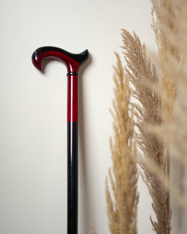 جزئیات پرداخت دستی در بدنه افرا مدل کارمین