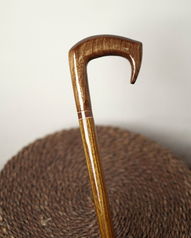 نمای نزدیک دسته با پرداخت براق در مدل آرتان